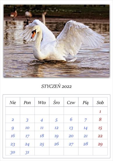 Kalendarz łąbędzie - APC_Calendar - 2021.11.26 19.26 - 005 - 2022 01.png