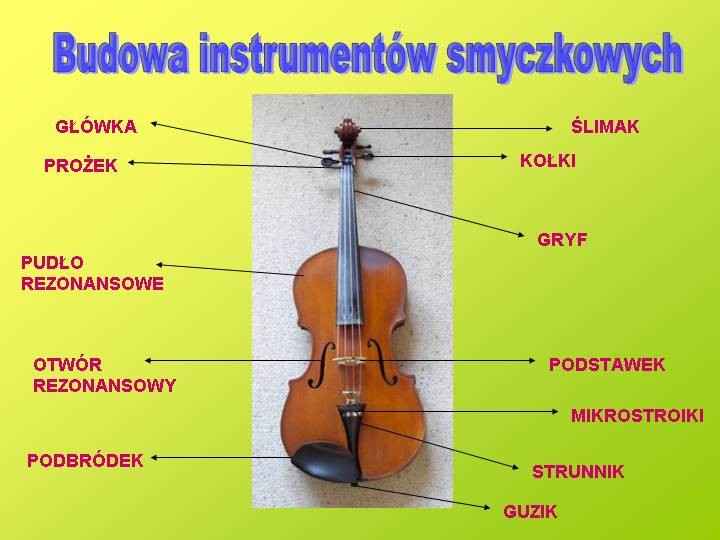 o instrumentach - Budowa_instrumentłw_smyczkowych.jpg