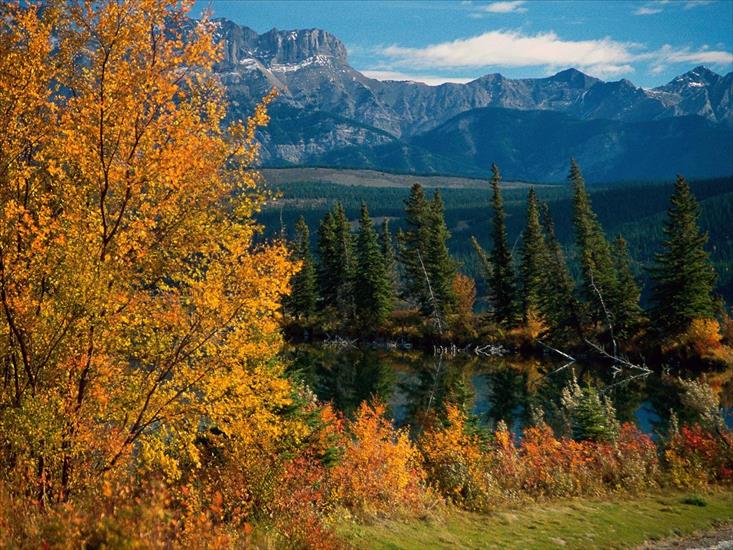 Canada - Canada,Jasper National Park, Alberta.jpg