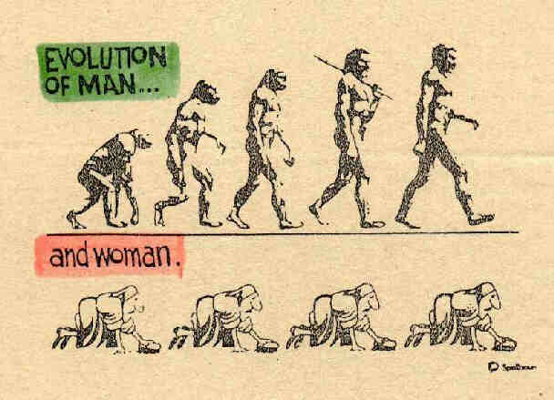 OBRAZEK  - ewolucja.jpg