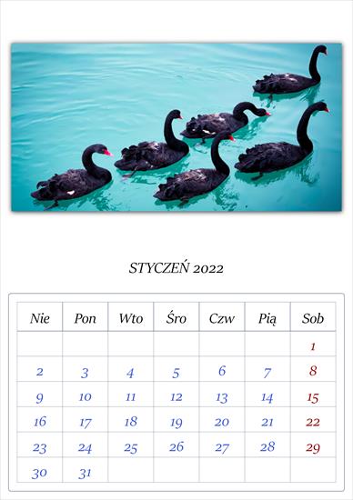 Kalendarz łąbędzie - APC_Calendar - 2021.11.26 19.32 - 002 - 2022 01.png